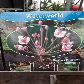 20180709 170112 170x170