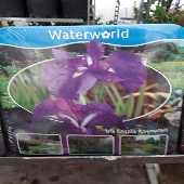 20180709 170118 170x170