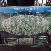 20180709 170124 170x170