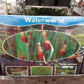 20180709 170129 170x170