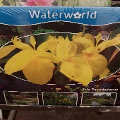 20180709 170138 170x170