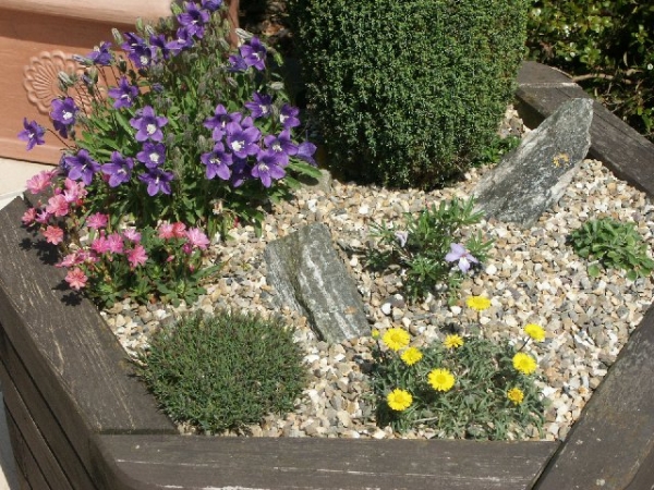 &Chi;&epsilon;&iota;&mu;&omega;&nu;ί&alpha;&tau;&iota;&kappa;&eta; &Sigma;ύ&nu;&theta;&epsilon;&sigma;&eta;