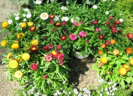 &Epsilon;&lambda;ί&chi;&rho;&upsilon;&sigma;&omicron;&iota; &sigma;&tau;&eta;&nu; &Kappa;&Epsilon;&Nu;&Tau;&Iota;&Alpha;