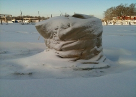 &Lambda;&iota;&nu;ά&tau;&sigma;&alpha; &kappa;&alpha;&iota; ά&chi;&upsilon;&rho;&omicron;:&Pi;&rho;&omicron;&sigma;&tau;&alpha;&sigma;ί&alpha; &gamma;&iota;&alpha; &tau;&omicron;&nu; &Chi;&epsilon;&iota;&mu;ώ&nu;&alpha; &mu;&epsilon; &phi;&upsilon;&sigma;&iota;&kappa;ά &upsilon;&lambda;&iota;&kappa;ά