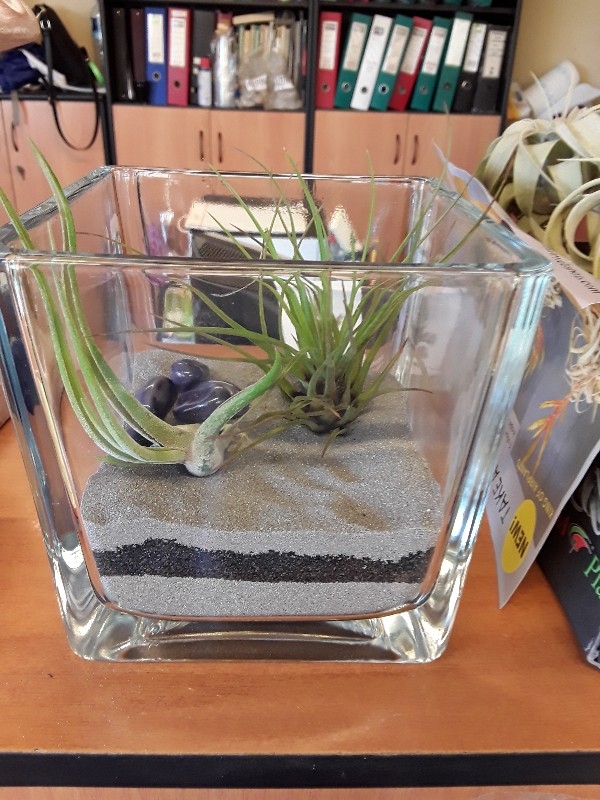 &Sigma;ύ&nu;&theta;&epsilon;&sigma;&eta; &mu;&epsilon; &alpha;&epsilon;&rho;ό&phi;&upsilon;&tau;&alpha; &sigma;&epsilon; &gamma;&upsilon;&alpha;&lambda;ί