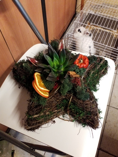 &Chi;&rho;&iota;&sigma;&tau;&omicron;&upsilon;&gamma;&epsilon;&nu;&nu;&iota;ά&tau;&iota;&kappa;&omicron; &kappa;&alpha;&lambda;&alpha;&theta;ά&kappa;&iota; &sigma;&epsilon; &sigma;&chi;ή&mu;&alpha; &alpha;&sigma;&tau;&epsilon;&rho;&iota;&omicron;ύ &mu;&epsilon; &pi;&alpha;&chi;ύ&phi;&upsilon;&tau;&omicron; &sigma;&tau;&eta;&nu; &Kappa;έ&nu;&tau;&iota;&alpha;