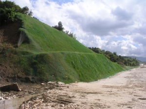 &Pi;&rho;&alpha;&nu;έ&sigmaf; &kappa;&alpha;&lambda;&upsilon;&mu;&mu;έ&nu;&omicron; &mu;&epsilon; &phi;&upsilon;&sigma;&iota;&kappa;ό &gamma;&rho;&alpha;&sigma;ί&delta;&iota;