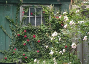 &Phi;&rho;ά&chi;&tau;&eta;&sigmaf;: &delta;&eta;&mu;&iota;&omicron;&upsilon;&rho;&gamma;ί&alpha; &kappa;&alpha;&iota; &tau;&alpha;&upsilon;&tau;ό&chi;&rho;&omicron;&nu;&eta; &kappa;ά&lambda;&upsilon;&psi;&eta; &alpha;&tau;&epsilon;&lambda;&epsilon;&iota;ώ&nu;