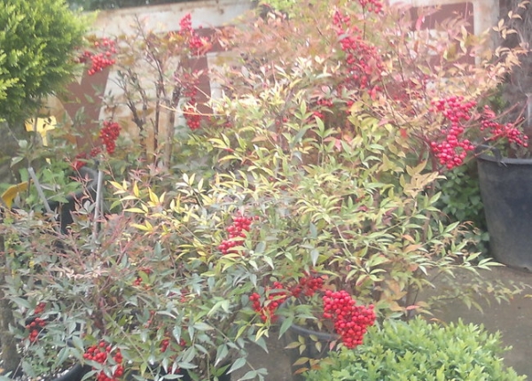 &Nu;&alpha;&nu;&tau;ί&nu;&alpha; &sigma;&tau;&eta;&nu; &Kappa;&Epsilon;&Nu;&Tau;&Iota;&Alpha;