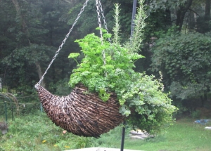 &Alpha;&rho;&mu;&pi;&alpha;&rho;ό&rho;&iota;&zeta;&alpha; &kappa;&alpha;&iota; &Delta;&epsilon;&nu;&tau;&rho;&omicron;&lambda;ί&beta;&alpha;&nu;&omicron; &sigma;&epsilon; &kappa;&rho;&epsilon;&mu;&alpha;&sigma;&tau;ή &gamma;&lambda;ά&sigma;&tau;&rho;&alpha;