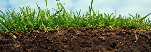 &Theta;&epsilon;&rho;&mu;&iota;&kappa;ή &alpha;&pi;&omicron;&lambda;ύ&mu;&alpha;&nu;&sigma;&eta; &epsilon;&delta;&alpha;&phi;ώ&nu;:&epsilon;&pi;&alpha;&gamma;&gamma;&epsilon;&lambda;&mu;&alpha;&tau;&iota;&kappa;ή &kappa;&alpha;&iota; &epsilon;&rho;&alpha;&sigma;&iota;&tau;&epsilon;&chi;&nu;&iota;&kappa;ή