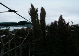 &Kappa;&upsilon;&pi;&alpha;&rho;ί&sigma;&sigma;&iota; &kappa;&omicron;&lambda;ώ&nu;&alpha; &epsilon;&upsilon;&theta;&upsilon;&tau;&epsilon;&nu;έ&sigmaf; ύ&psi;&omicron;&upsilon;&sigmaf; 2,5&mu;+  150 &tau;&mu;&chi; ά&mu;&epsilon;&sigma;&alpha; &delta;&iota;&alpha;&theta;έ&sigma;&iota;&mu;&alpha; &tau;&iota;&mu;ή 35,0 &alpha;&nu;ά &tau;&mu;&chi;