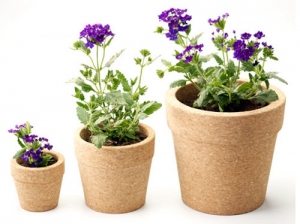 &Mu;&epsilon;&tau;&alpha;&phi;ύ&tau;&epsilon;&upsilon;&sigma;&eta;