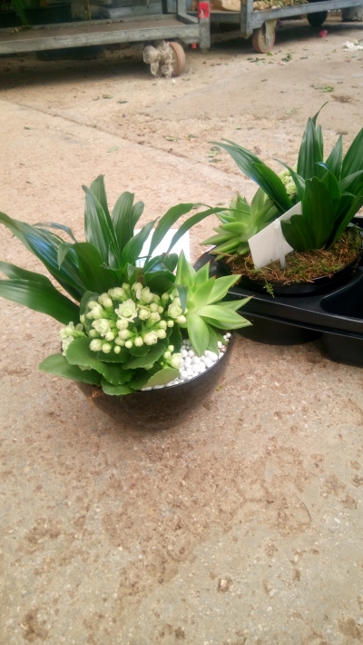 &Sigma;&upsilon;&nu;&theta;έ&sigma;&epsilon;&iota;&sigmaf; &phi;&upsilon;&tau;ώ&nu; &sigma;&epsilon; &kappa;&epsilon;&rho;&alpha;&mu;&iota;&kappa;ά &kappa;&alpha;&iota; &mu;&epsilon;&tau;&alpha;&lambda;&lambda;&iota;&kappa;ά &kappa;&alpha;&sigma;&pi;ώ