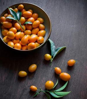 &Tau;&omicron; &kappa;&tau;ή&mu;&alpha; Merlin &sigma;&tau;&eta;&nu; &Kappa;έ&rho;&kappa;&upsilon;&rho;&alpha;, &omicron; &pi;&omicron;&rho;&tau;&omicron;&kappa;&alpha;&lambda;&epsilon;ώ&nu;&alpha;&sigmaf; &kappa;&alpha;&iota; &tau;&alpha; &kappa;&omicron;&upsilon;&mu; &kappa;&omicron;&upsilon;&alpha;&tau;