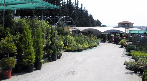 &Kappa;&alpha;&lambda;&omega;&sigma;&omicron;&rho;ί&sigma;&alpha;&tau;&epsilon; &sigma;&tau;&eta;&nu; &iota;&sigma;&tau;&omicron;&sigma;&epsilon;&lambda;ί&delta;&alpha; &tau;&omega;&nu; &phi;&upsilon;&tau;ώ&rho;&iota;&omega;&nu; &Kappa;&Epsilon;&Nu;&Tau;&Iota;&Alpha;!