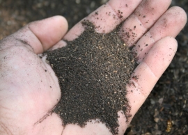 &Omicron;&rho;&gamma;&alpha;&nu;&iota;&kappa;ό &lambda;ί&pi;&alpha;&sigma;&mu;&alpha; &gamma;&iota;&alpha; &tau;&alpha; &phi;&upsilon;&tau;ά &sigma;&alpha;&sigmaf; &kappa;&alpha;&iota; &Zeta;&epsilon;ό&lambda;&iota;&theta;&omicron;&sigmaf;