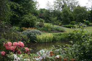 &Tau;&epsilon;&chi;&nu;&eta;&tau;ή &lambda;ί&mu;&nu;&eta; &delta;&iota;&alpha;&kappa;&omicron;&sigma;&mu;&eta;&mu;έ&nu;&eta; &mu;&epsilon; &pi;&omicron;&iota;&kappa;&iota;&lambda;ί&alpha; &phi;&upsilon;&tau;ώ&nu;