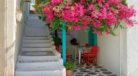 &Mu;&pi;&omicron;&upsilon;&kappa;&alpha;&mu;&beta;ί&lambda;&iota;&alpha; &sigma;&epsilon; &beta;&epsilon;&rho;ά&nu;&tau;&alpha; &nu;&eta;&sigma;&iota;&omicron;ύ