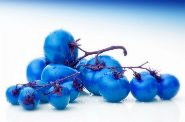 &Mu;&pi;&lambda;έ &nu;&tau;&omicron;&mu;ά&tau;&epsilon;&sigmaf;