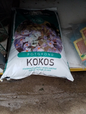 &Epsilon;&iota;&delta;&iota;&kappa;ό &upsilon;&pi;ό&sigma;&tau;&rho;&omega;&mu;&alpha; &kappa;&omicron;&kappa;&omicron;&phi;&omicron;ί&nu;&iota;&kappa;&alpha; 40 &lambda;ί&tau;&rho;&omega;&nu; &sigma;&tau;&eta;&nu; &Kappa;έ&nu;&tau;&iota;&alpha;