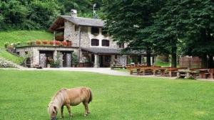 &Alpha;&gamma;&rho;&omicron;&tau;&omicron;&upsilon;&rho;&iota;&sigma;&tau;&iota;&kappa;ά &kappa;&alpha;&tau;ά&lambda;&lambda;&upsilon;&mu;&alpha; &sigma;&tau;&eta;&nu; &Iota;&tau;&alpha;&lambda;ί&alpha; 