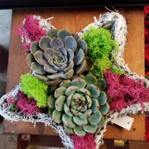 &Chi;&rho;&iota;&sigma;&tau;&omicron;&upsilon;&gamma;&epsilon;&nu;&nu;&iota;ά&tau;&iota;&kappa;&omicron; &kappa;&alpha;&lambda;&alpha;&theta;ά&kappa;&iota; &sigma;&epsilon; &sigma;&chi;ή&mu;&alpha; &alpha;&sigma;&tau;&epsilon;&rho;&iota;&omicron;ύ &mu;&epsilon; &pi;&alpha;&chi;ύ&phi;&upsilon;&tau;&alpha; &sigma;&tau;&eta;&nu; &Kappa;έ&nu;&tau;&iota;&alpha;