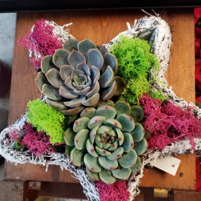 &Chi;&rho;&iota;&sigma;&tau;&omicron;&upsilon;&gamma;&epsilon;&nu;&nu;&iota;ά&tau;&iota;&kappa;&omicron; &kappa;&alpha;&lambda;&alpha;&theta;ά&kappa;&iota; &sigma;&epsilon; &sigma;&chi;ή&mu;&alpha; &alpha;&sigma;&tau;&epsilon;&rho;&iota;&omicron;ύ &mu;&epsilon; &pi;&alpha;&chi;ύ&phi;&upsilon;&tau;&alpha; &sigma;&tau;&eta;&nu; &Kappa;έ&nu;&tau;&iota;&alpha;